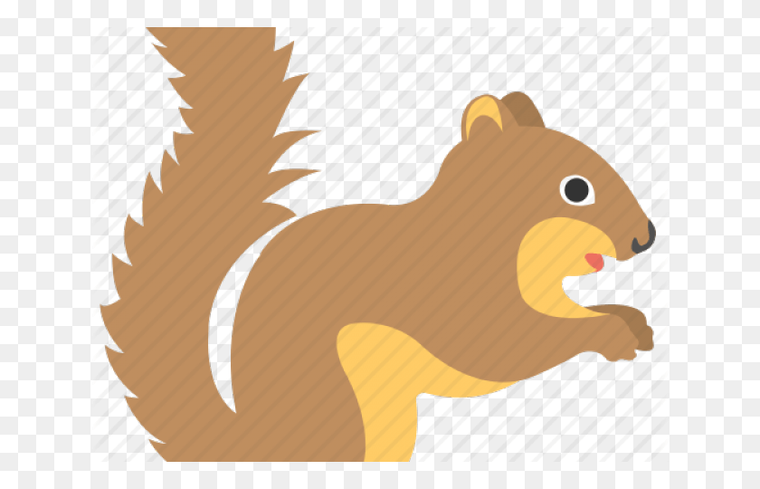 640x480 Small Animal With Big Tail, Mammal, Wildlife, Plant HD PNG Download