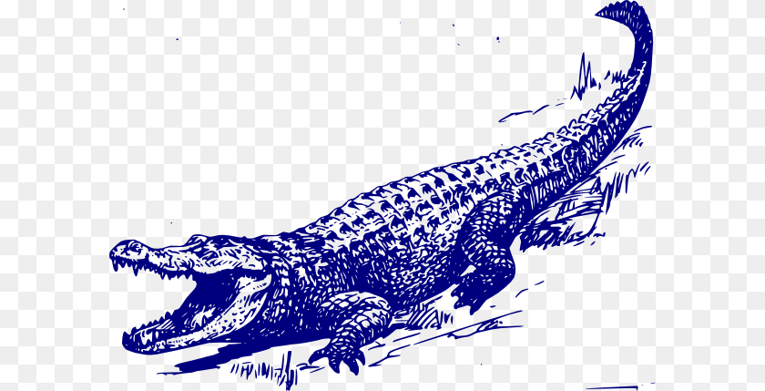 600x429 Small Black And White Alligator, Animal, Crocodile, Reptile Transparent PNG