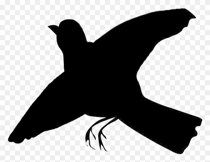 1295x973 Pequeño Pájaro Negro Clip Art De Aves Marinas, Animal, Insecto, Invertebrado Hd Png