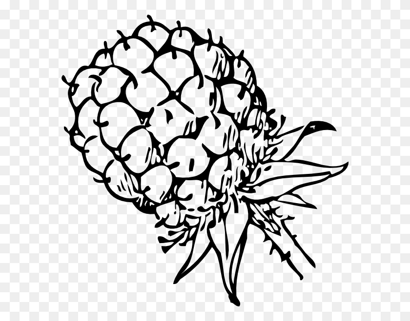 588x599 Small Blackberry Black And White, Plant, Stencil, Head HD PNG Download