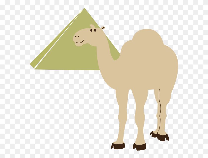 600x577 Small Camel In Pyramids Vector, Mammal, Animal, Bird HD PNG Download