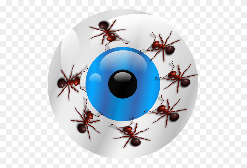 520x513 Small Circle, Ant, Insect, Invertebrate HD PNG Download