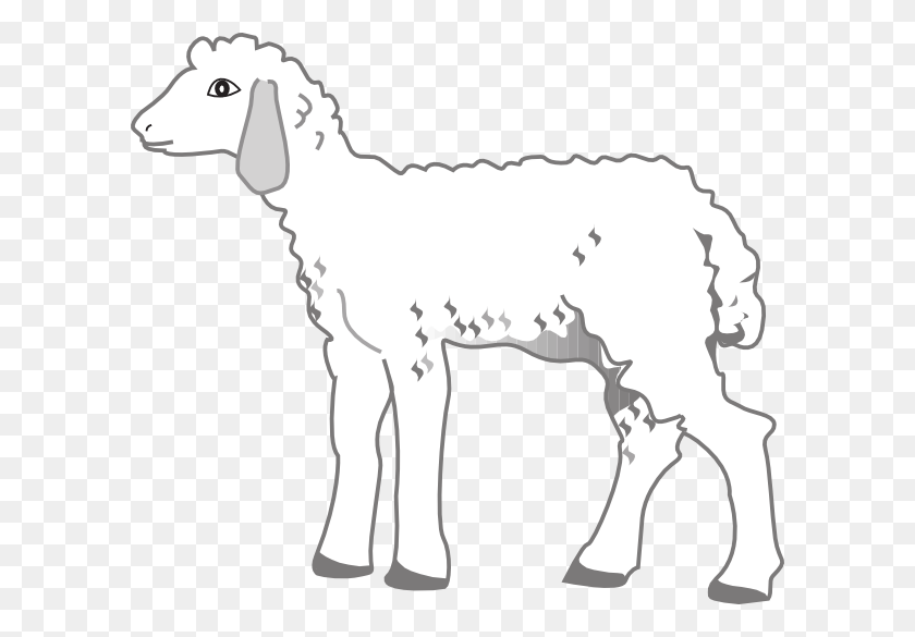 600x525 Маленький Дезенхо Кордейро, Млекопитающее, Животное, Овца Hd Png Скачать