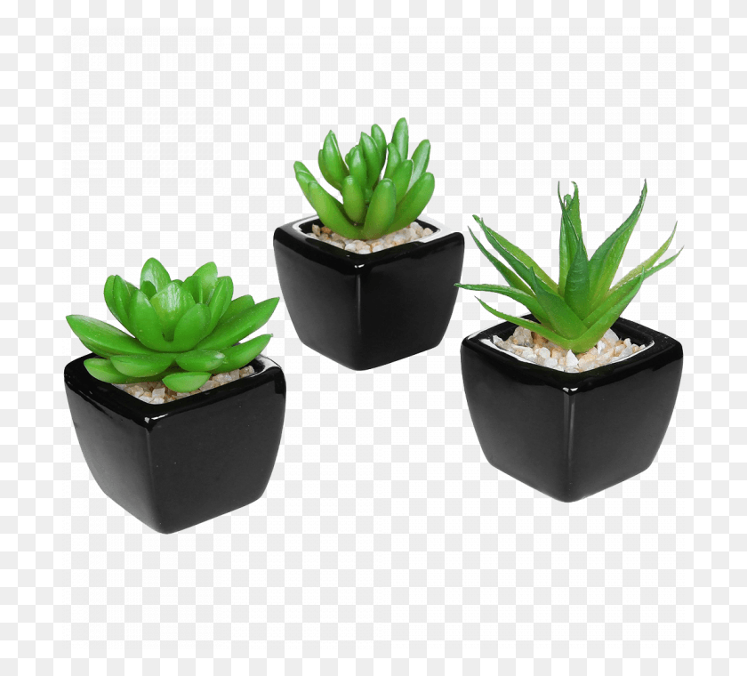 700x700 Small Desk Plants, Aloe, Plant, Pot HD PNG Download