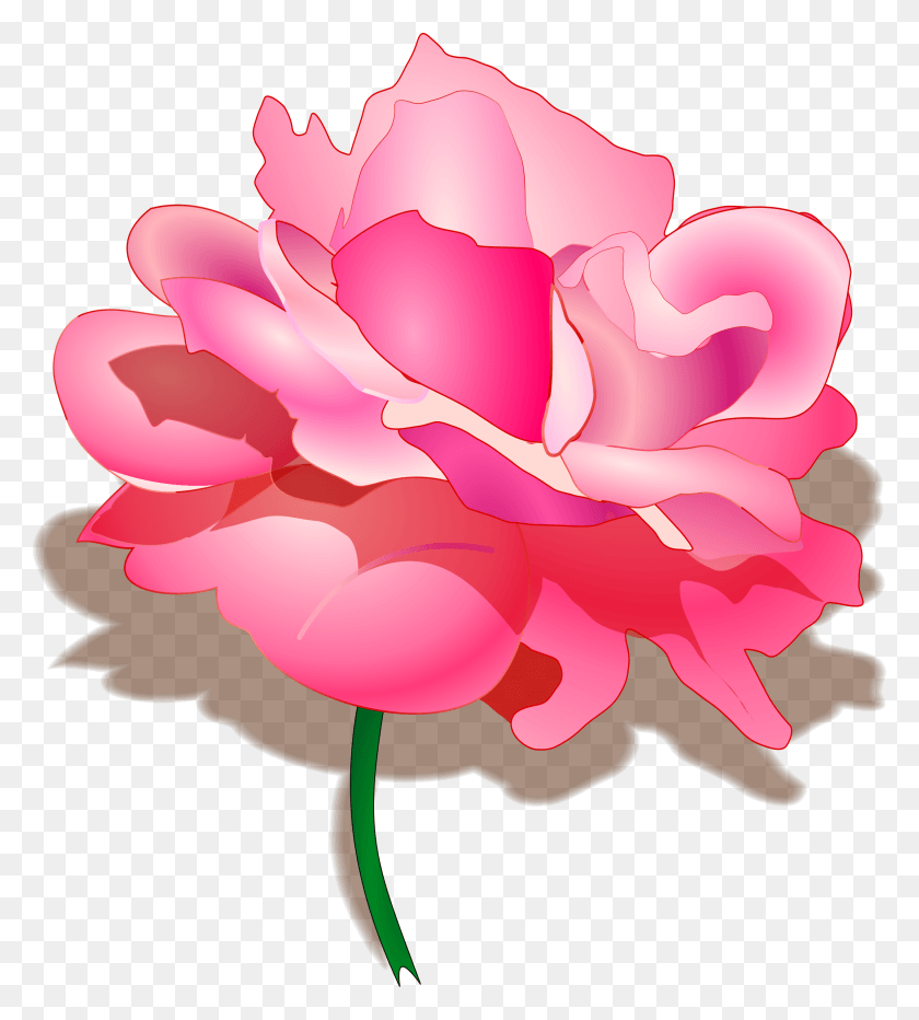2145x2400 Small Flower Illustration Transparent Background, Plant, Blossom, Rose HD PNG Download