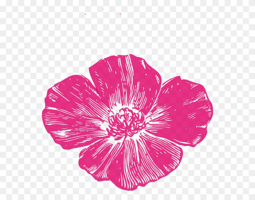 564x599 Descargar Png Flores Pequeñas De Color Rosa Caliente Png / Pétalo Png