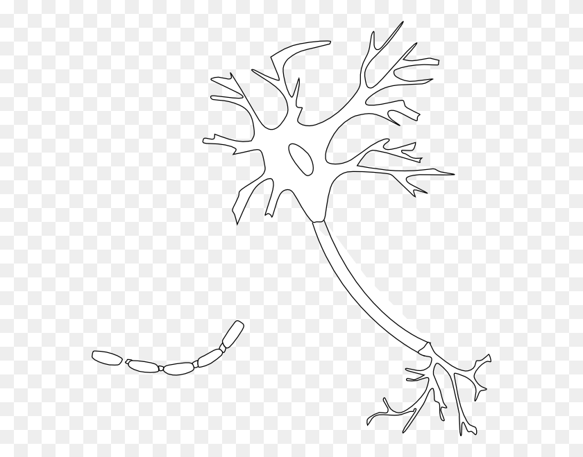576x599 Маленькая Иллюстрация, Растение, Дерево Hd Png Скачать