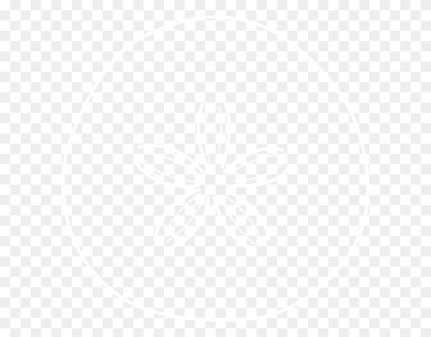 600x597 Small Johns Hopkins Logo White, Texture, White Board, Text HD PNG Download