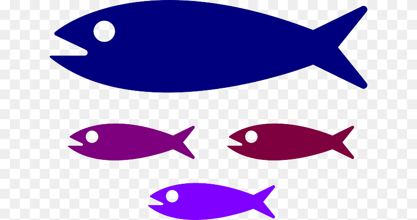 640x443 Small Medium Large Fish, Animal, Sea Life, Tuna, Shark PNG