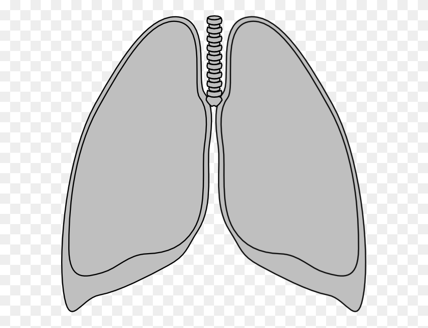 600x584 Small Mouse Lung Clipart, Clothing, Apparel, Sunglasses HD PNG Download