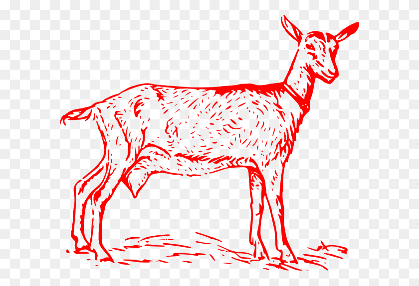 600x515 Small Nigerian Dwarf Goat Drawing, Deer, Wildlife, Mammal HD PNG Download