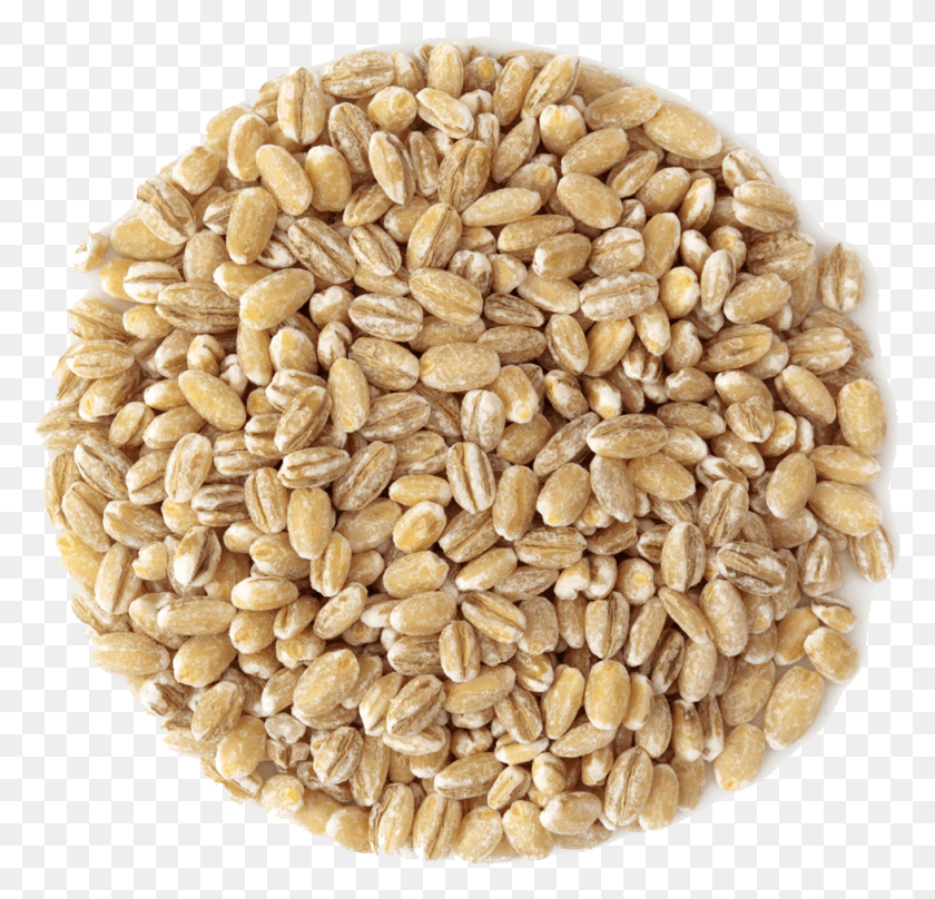 979x940 Small Pile Of Grain, Plant, Rug, Vegetable HD PNG Download