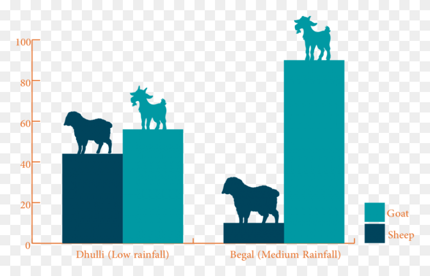 840x517 Small Ruminant Composition By Species Silhouette, Animal, Mammal, Text HD PNG Download