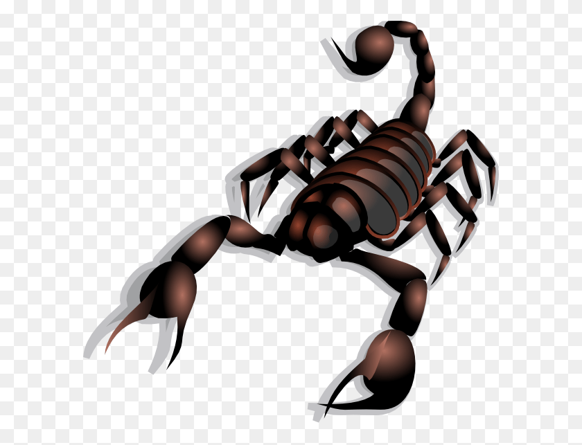 600x583 Small Scorpion Clip Art, Invertebrate, Animal, Person HD PNG Download