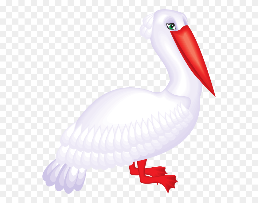 564x600 Small Water Bird, Animal, Pelican, Lamp HD PNG Download