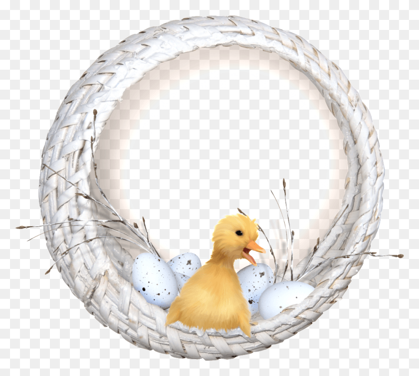 1024x913 Small Yellow Duck Transparent In The Basket Rabbit, Chicken, Poultry, Fowl HD PNG Download