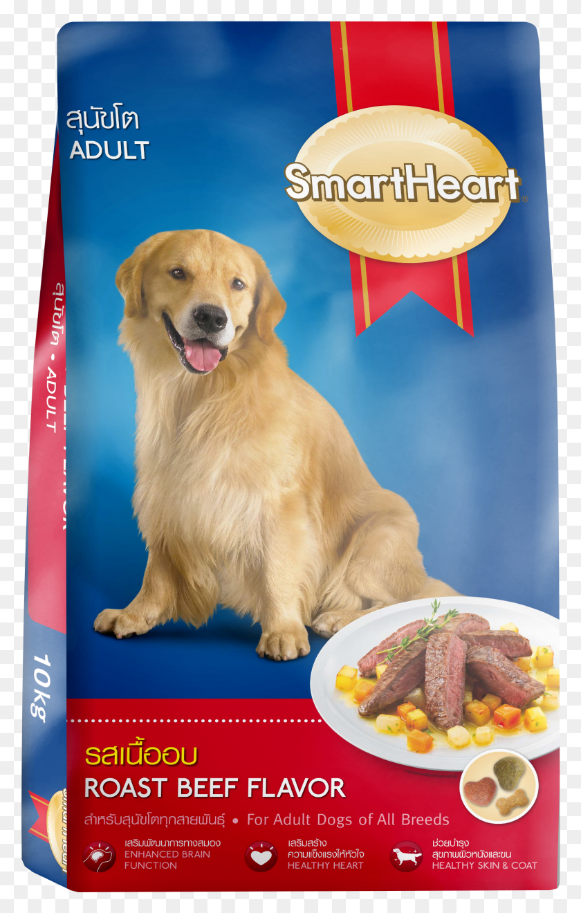 1577x2548 Smartheart, Golden Retriever, Dog, Pet HD PNG Download