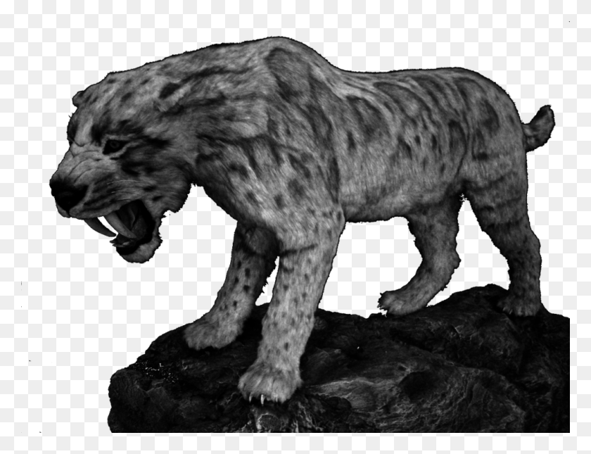 1024x768 Smilodon Fatalis By Salvatore Rabitonbg Масаи Лев, Дикая Природа, Животное, Млекопитающее Hd Png Скачать