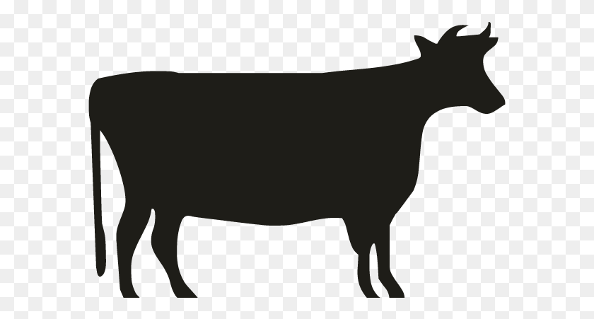 591x391 Smock Cow 1 Motif Show Контур Молочной Коровы, Млекопитающее, Животное Png Скачать