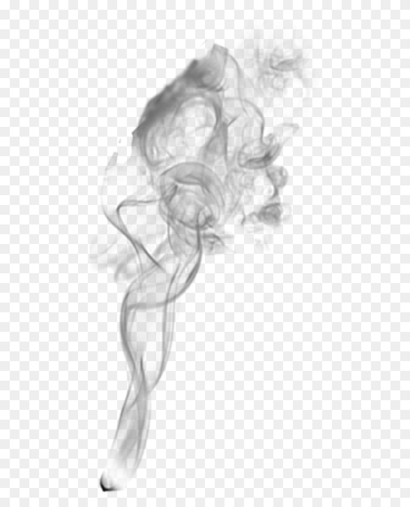 475x979 Эффект Дыма Tumblr Ftestickers Прозрачный Эффект Дыма Для Picsart, Пыльца, Растение, Рентген Hd Png Скачать