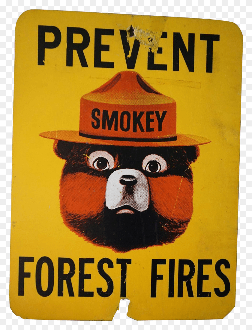 1240x1647 Smokey The Bear Smokey Bear Transparent, Advertisement, Poster, Text HD PNG Download