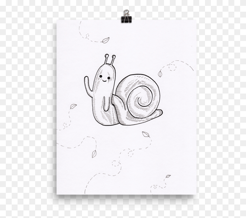 529x686 Snail, Sketch HD PNG Download