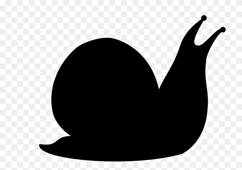 2400x1680 Snail Black And White Clip Art Images, Gray PNG