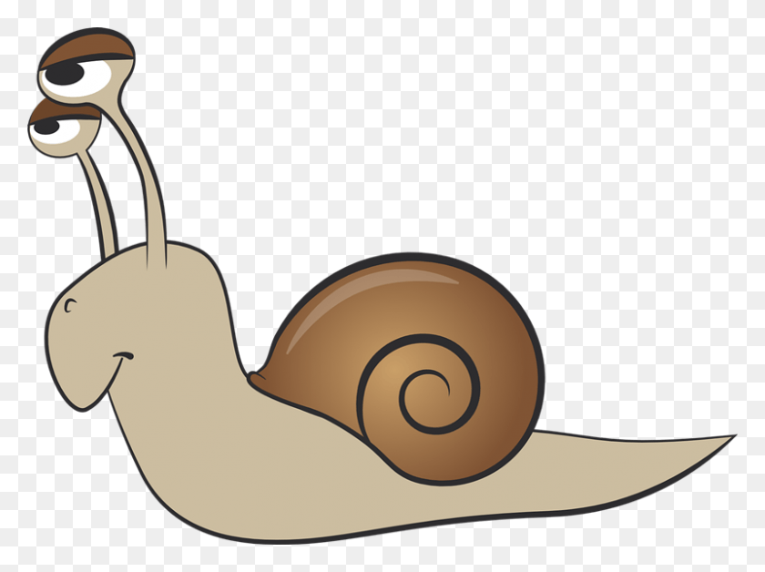 800x583 Snail Clip Art Free Vectors Cartoon Snail, Animal, Invertebrate, Sunglasses HD PNG Download