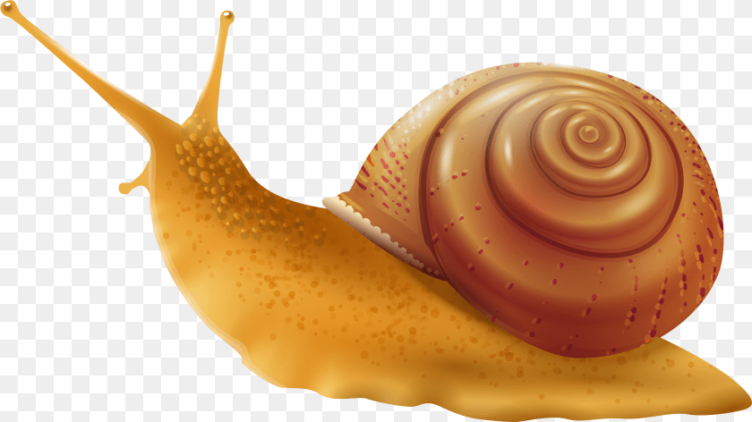 4926x2767 Snail Clip Art Transparent Background Snail Clipart, Animal, Invertebrate Sticker PNG