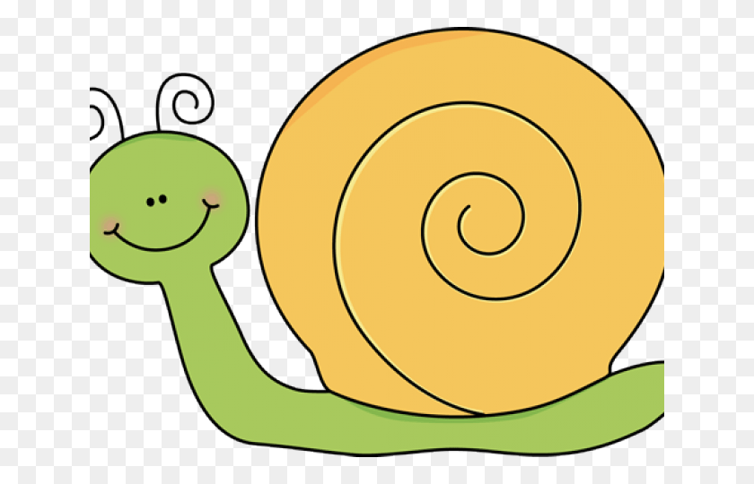640x480 Caracol Png / Caracol Png