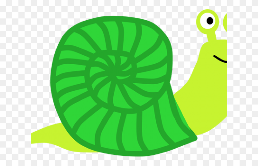 640x480 Caracol Png / Caracol Verde Png