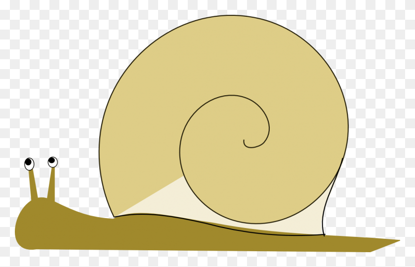 1208x746 Caracol Png / Caracol Hd Png