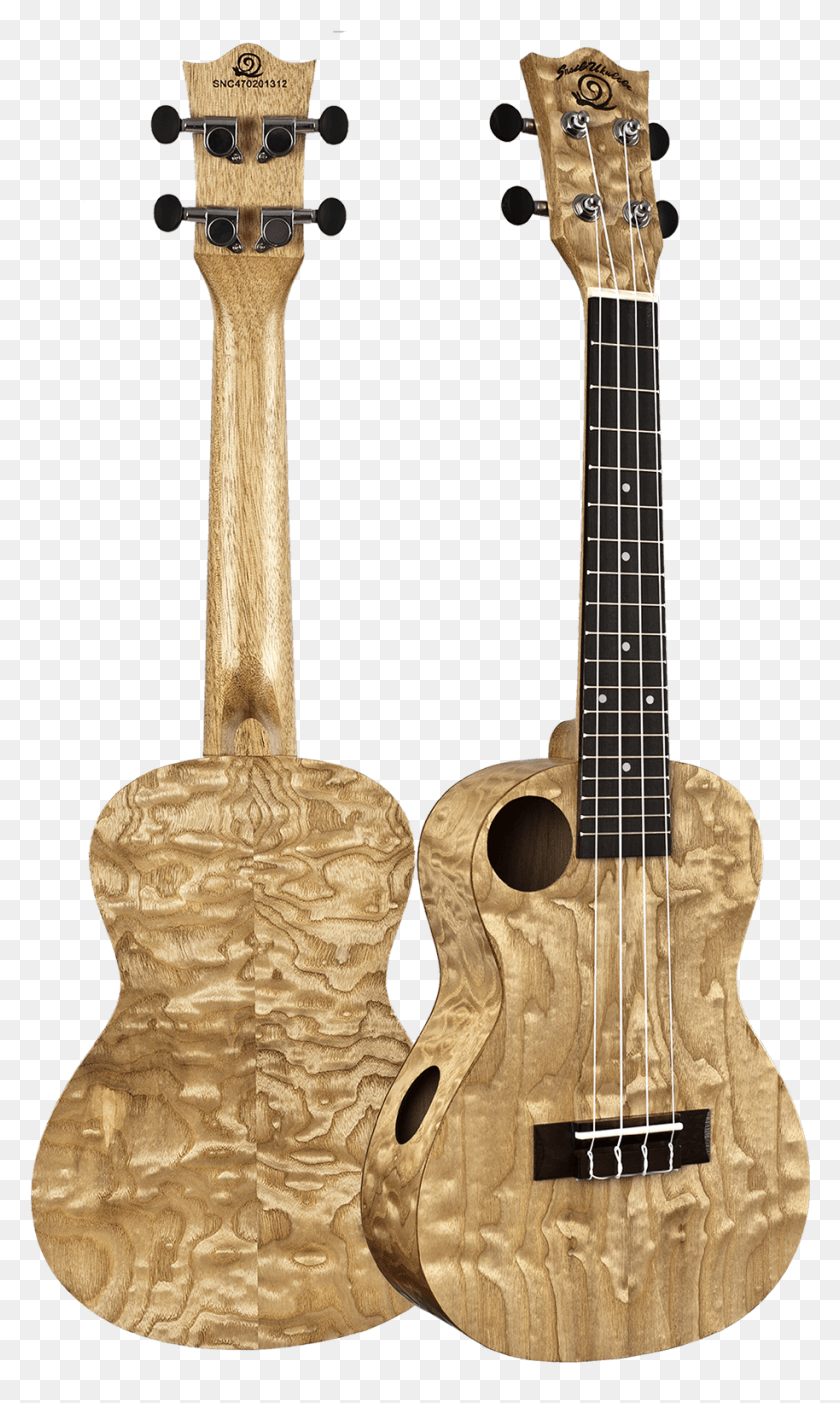 914x1574 Snail Quilted Ash Ukulele Bass Guitar, Leisure Activities, Guitar, Musical Instrument HD PNG Download