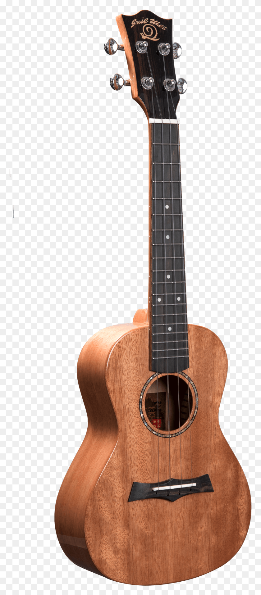1992x4740 Caracol Sólido Caoba Brillante Concierto Ukelele Guitarra Acústica Hd Png Descargar