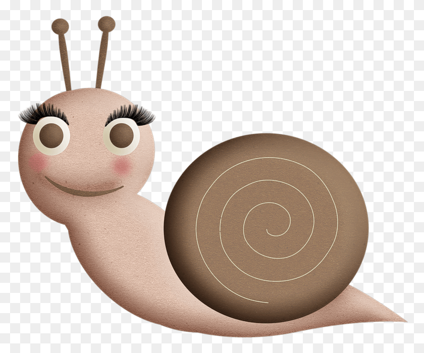 778x639 Snails Insect, Toy HD PNG Download