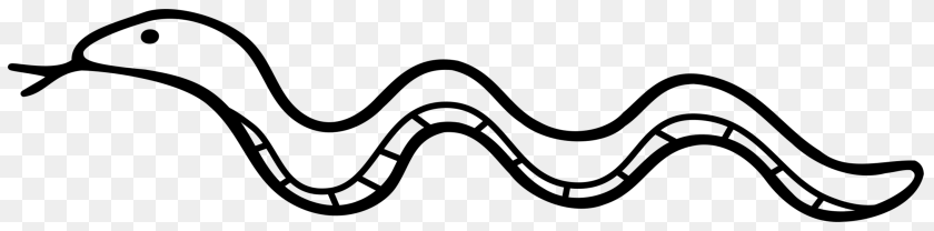 3025x750 Snake Drawing Graphic Arts Animal Gray PNG