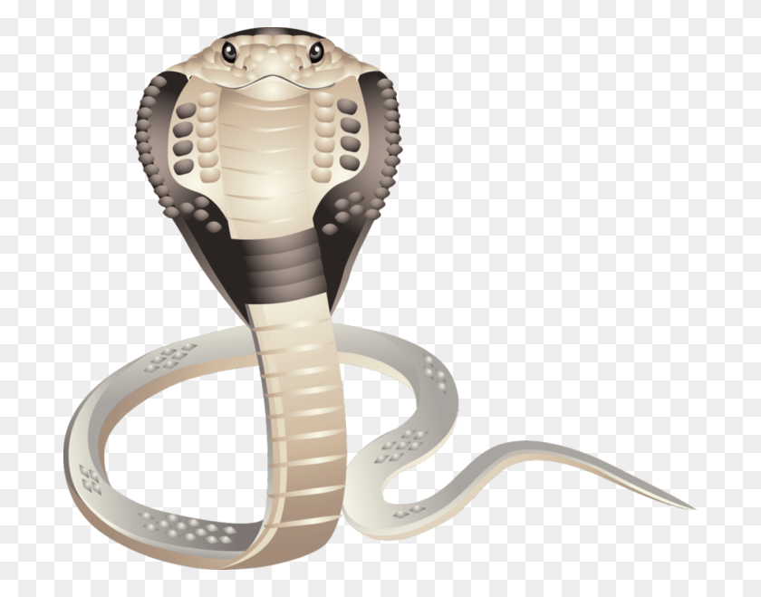 699x599 Snake Image, Cobra, Reptile, Animal HD PNG Download