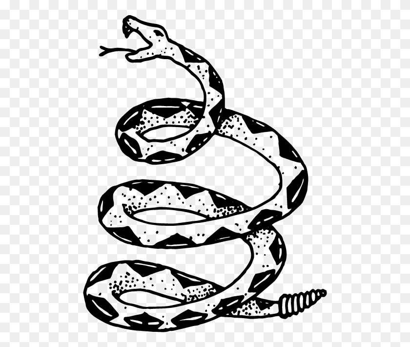 501x650 Рисунок Змеиной Кожи Иллюстрация Удава, Серый, Мир Варкрафта Png Скачать