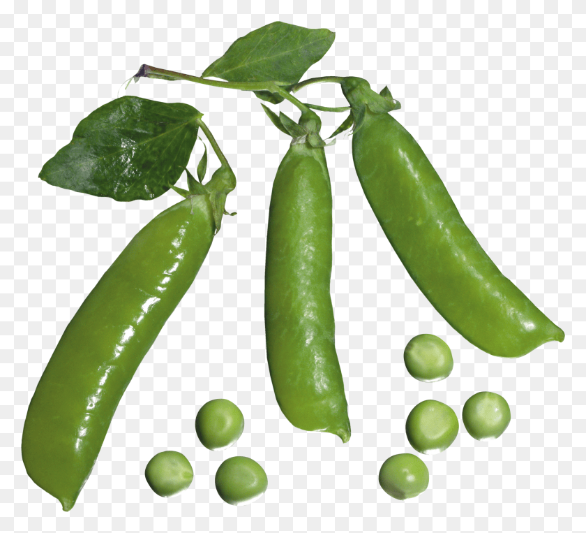 3387x3053 Snap Pea HD PNG Download