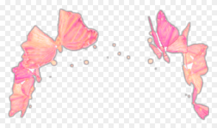 981x551 Snapchat Crown Butterflies Aesthetic Filter Transparent Snapchat Filter Crown, Petal, Flower, Plant HD PNG Download