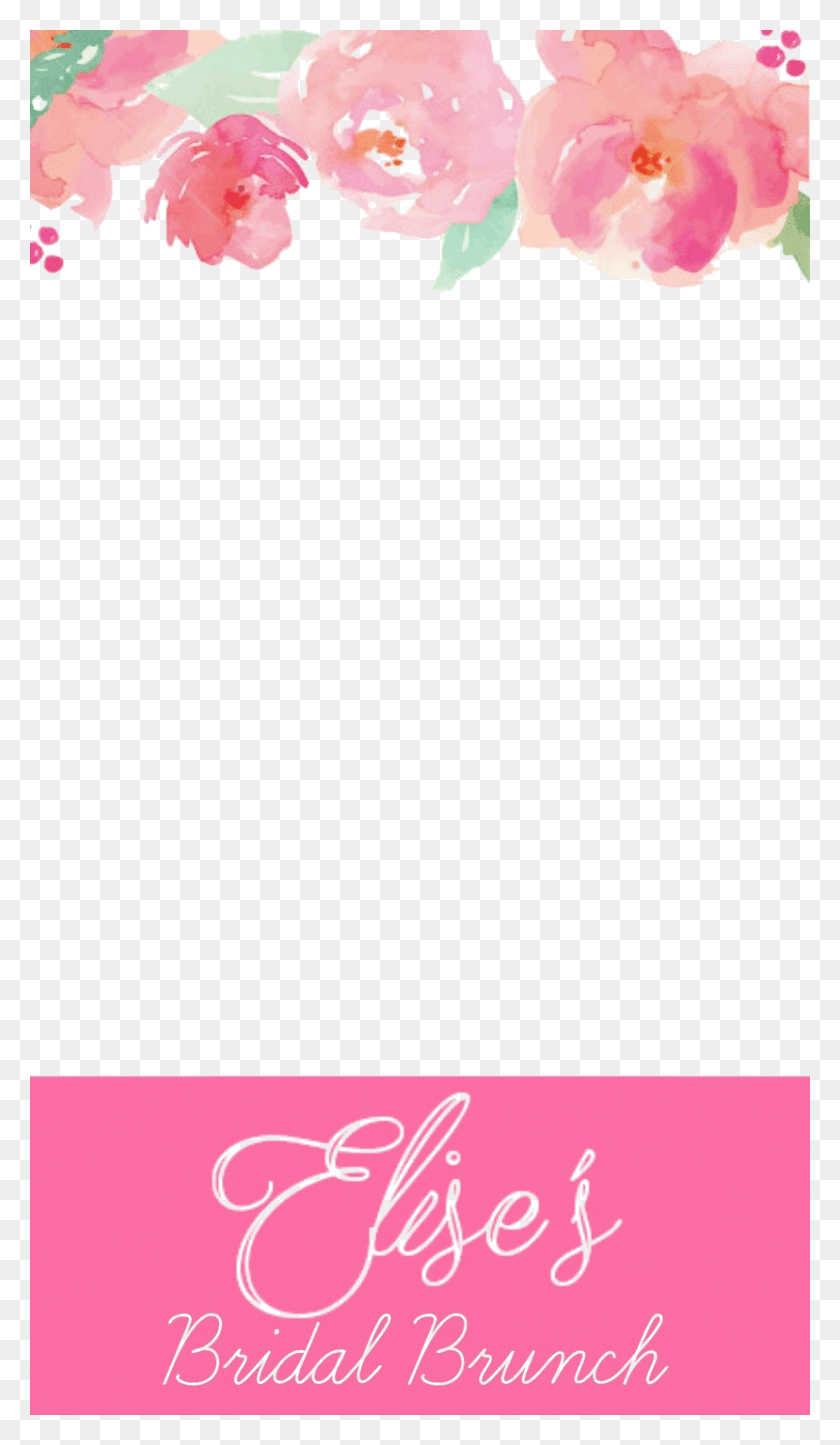 829x1473 Snapchat Filters Clipart Pink Flower Rose, Monitor, Screen, Electronics HD PNG Download