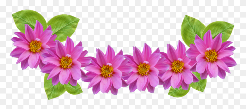 898x361 Snapchat Flower Crown Flower, Dahlia, Plant, Blossom HD PNG Download