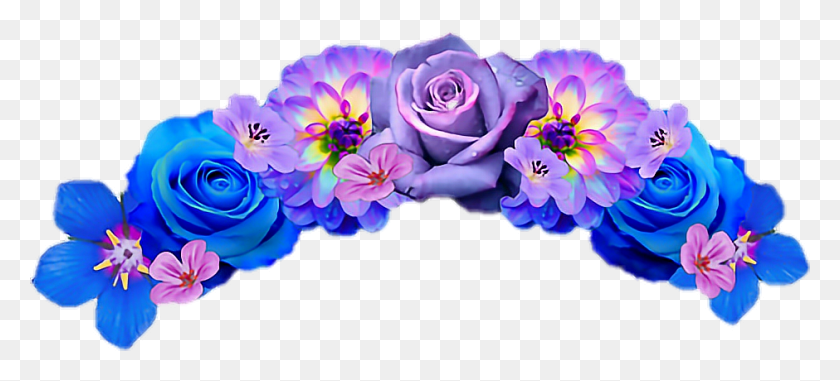 940x388 Snapchat Цветок Корона Прозрачный Фон Цветок Корона Прозрачный Фон, Растение, Цветение, Роза Png Скачать