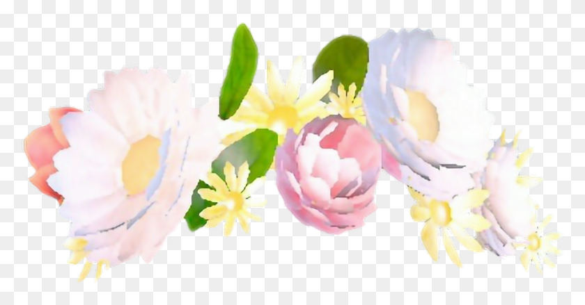 1262x614 Стикер Snapchat Flowercrown От Саманты Злауготне Snapchat Цветок Корона, Растение, Цветение, Пыльник Hd Png Скачать