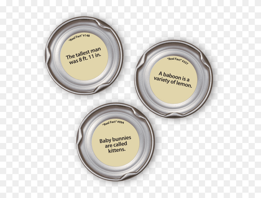 589x577 Snapple Real Facts Bottle Caps Best Snapple Facts, Label, Text, Cosmetics HD PNG Download