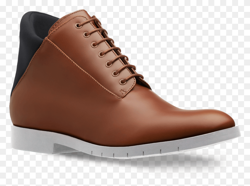 1609x1166 Sneakers, Clothing, Apparel, Shoe HD PNG Download