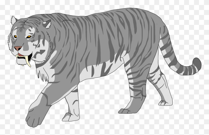900x558 Tigre Png / Tigre Siberiano Png