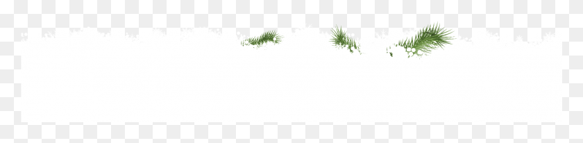 1921x362 La Nieve De Navidad La Nieve, Verde, Gráficos Hd Png