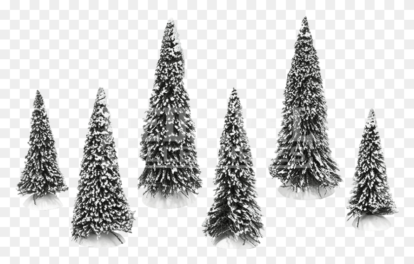 838x511 Snow Covered Pines Christmas Tree, Tree, Plant, Ornament HD PNG Download