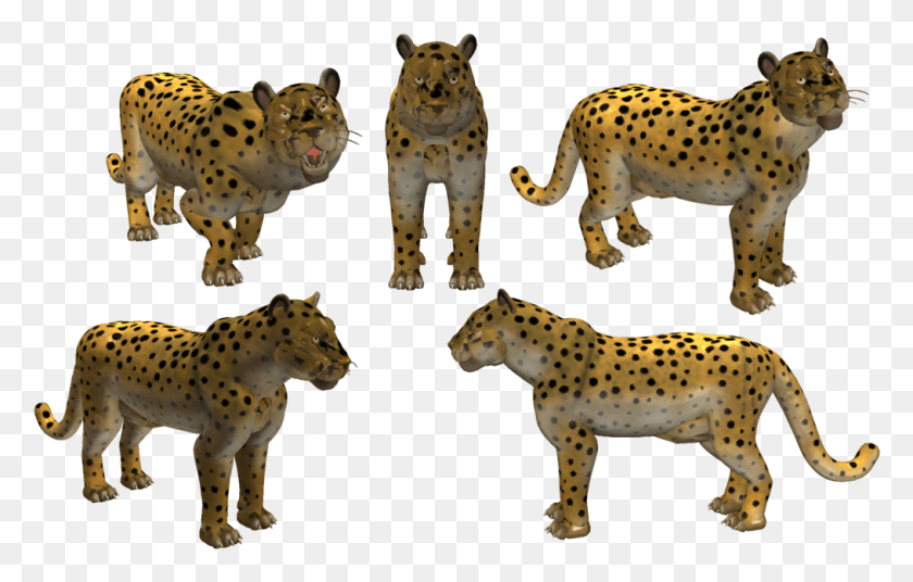 1014x619 Snow Leopard Clipart Amur Leopard, Cheetah, La Vida Silvestre, Mamífero Hd Png
